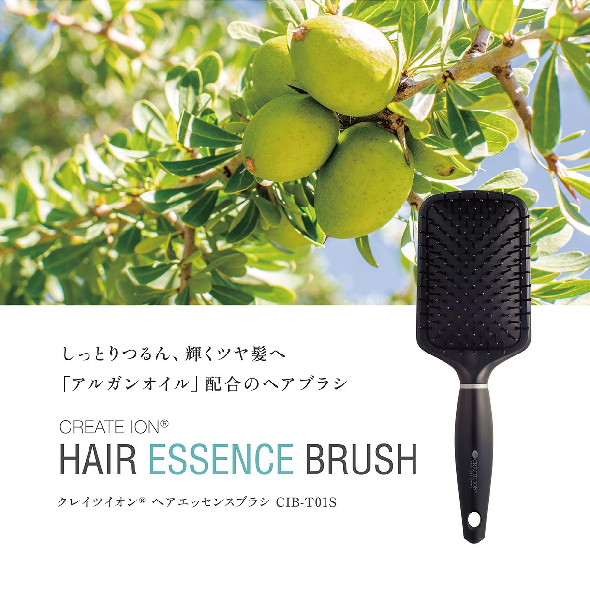 CREATE ION クレイツイオン ヘアエッセンスブラシ CIB-T01Sの写真